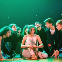 open fest studosen 14