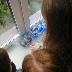 order of  friendship 12