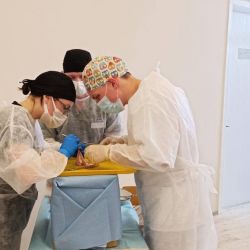 performed brilliantly 03