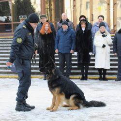 prazdnik muzhestva 09