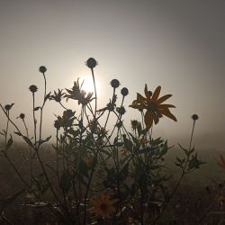 respublikanskiy turistskiy slet 02