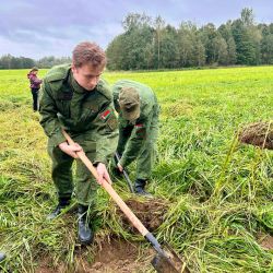 search expedition vpk 07