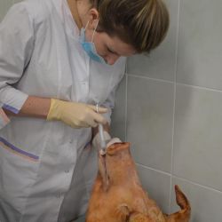 step into the profession 01