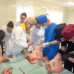 step into the profession 02