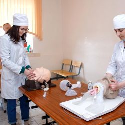 step into the profession 06