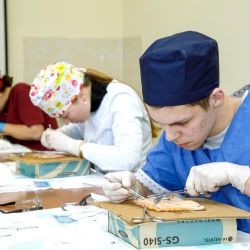 step into the profession 09