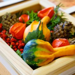 vistavka fantasya 10