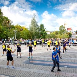 vistavka yarmarka zozh vsmu 03