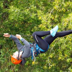 vistavka yarmarka zozh vsmu 10