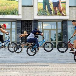 vistavka yarmarka zozh vsmu 16