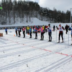 vitebskaya lizhnya 11