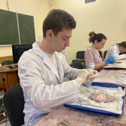 vnutrivuzovskaya olimpiada 05