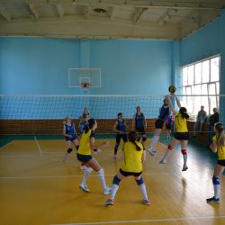 volley 13