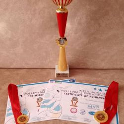 volleyball championship 06