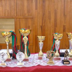 volleyball turnir 2017 01