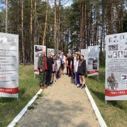 zvezd poh Gorodskoy 07