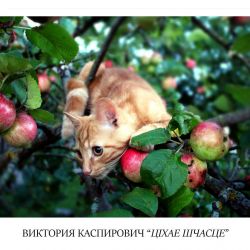 каспирович