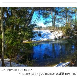 козловская 1