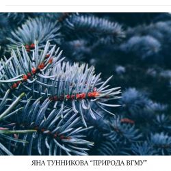 тунникова 2